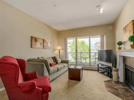 Furnished 2 bedroom - 2 bathroom suite in Port Coquitlam