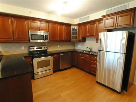 GORGEOUS VIEWS Bright 2 Bd 2 Bth Huge Kitchen Covered Parking *PAY POWER ONLY* | 9707 106 St NW, Edmonton