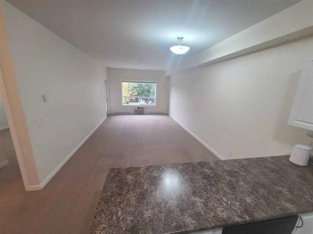 1 Bedroom Large, Bright, Clean Condo