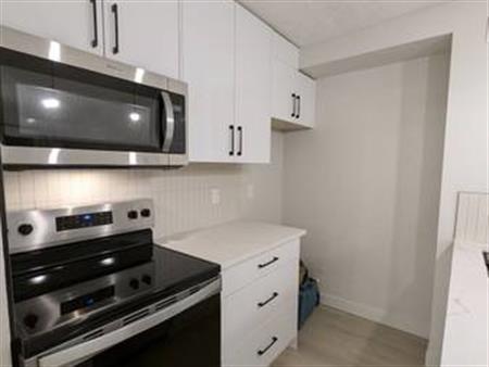 Brand newly renovated apartment