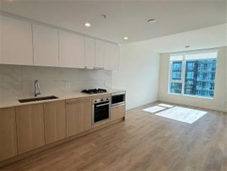 Lougheed Brand New 1bedroom apartment for rent