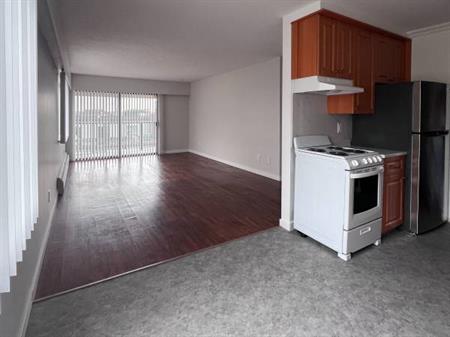 Spacious and Renovated 1-Bedroom Apartment MOVE IN 15th NOV