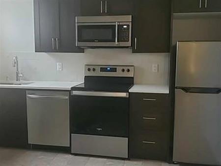 1 bed 1 bath basement for rent in Homestead. 40% of utilities