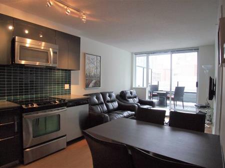 Pet Allowed -Available November 1st -Furnished 1 Bedroom@ 1325 Rolston