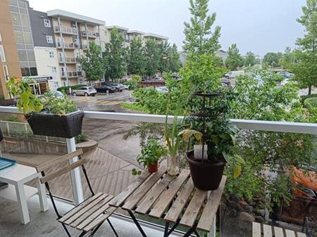 Bed 1 Bath Apartment 800 Dovercourt Dr- free Sept rent