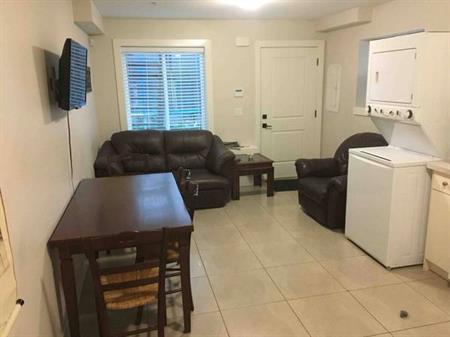 2 bedroom apartment/suite for rent