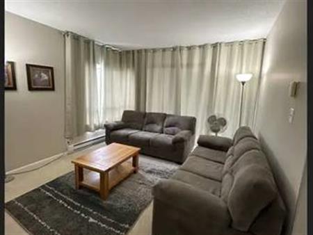 Furnished condo available for rent (2 bed, 2 bath)