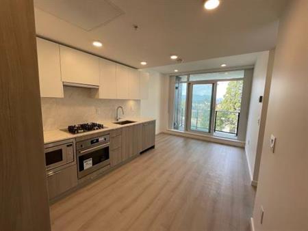 Surrey Central Brand New Apt 1 Bedroom 1 Bath for Rent Building Melrose