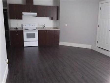 $1650 - Two Bedroom Basement Suite w/ 9ft ceilings (West Cloverdale)