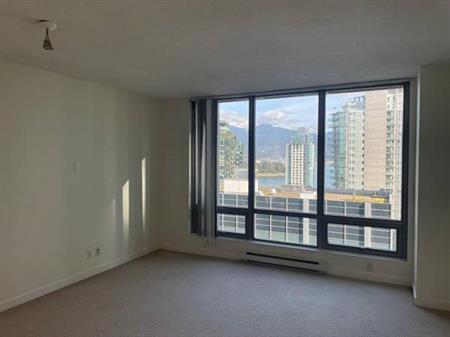 Beautiful 1 Bedroom Apartment for Rent