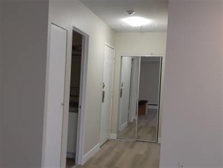 1 Bedroom Apt Commercial Dr