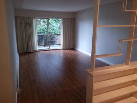 Beautiful 2BR Apartment in Burnaby Highgate