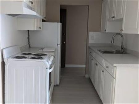 Newly Renovated 1 Bedroom - Royal Clinton