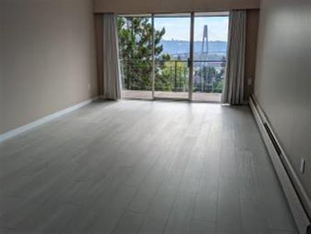 Newly Renovated 1 Bedroom - Royal Clinton