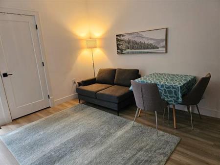 Furnished 2 Bd 1 Bth Basement Suite