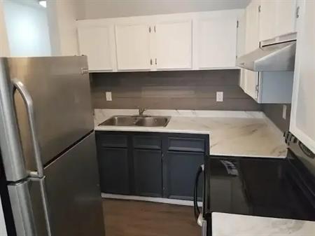 RENOVATED LG 1BD NEAR CTRAIN, SAIT,17 AVE,MRU,U OF C, MARDA L., AMENITIES | 1728 26 AVE SW, Calgary