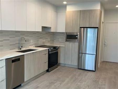 1 bed + den 1 bath $2400 beautiful new condo