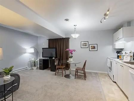 1 bedroom, 1 bathroom furnished (plates, tv, sofa, etc) legal basement | 12032 65 Street Northwest, Edmonton