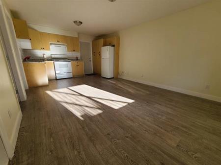 1 bedroom basement close to transit