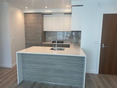 Brand new condo 2b2b located in the central of NEW WEST