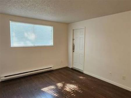 Richmond centre One bed room available Pet friendly