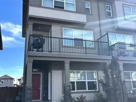 419 Boreal Dr BSMT | 419 Boreal Dr, Leduc