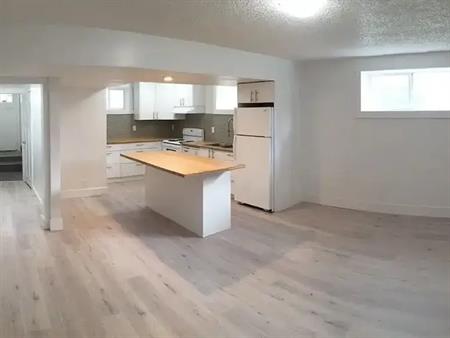 Walk out basement two bedroom | 1120 35 Street Southeast, Calgary