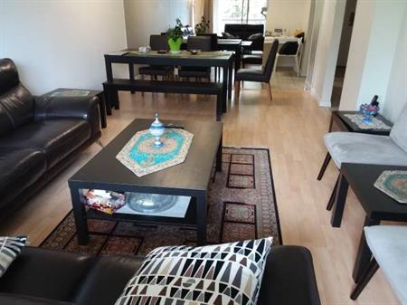 One Bedroom Furnished Apartment with Den, Large and Bright