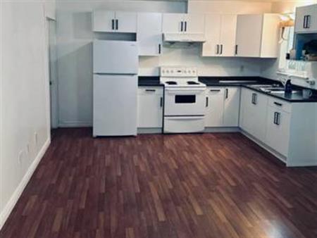 2 Bedroom Basement Suite Available August 1