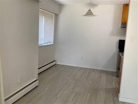 Large one bedroom apartment in Guilford