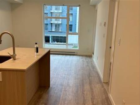 Brand New 1 bedroom Apt in Surrey Centre