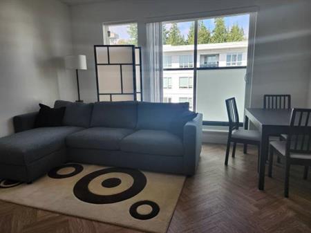 Fully furnished 1 Bedroom Condominium at SFU "Univercity"