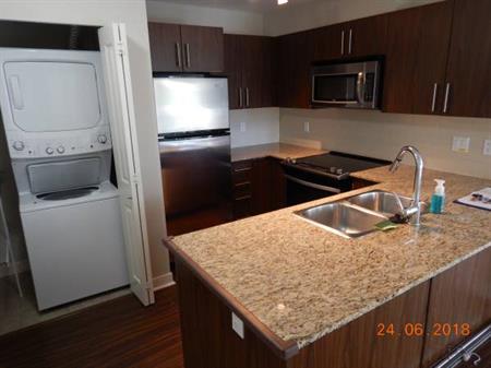 2 bed room condo for rent