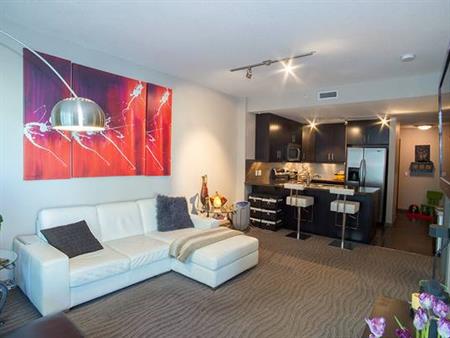 One-bedroom, furnished luxury condo last month 50% off