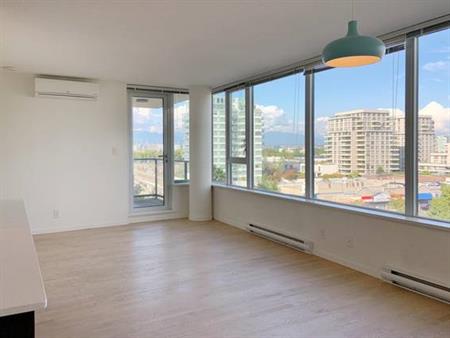 Modern 2BR & 2BA Condo with View in Central Richmond!