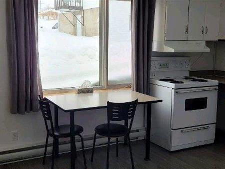 Appartement 1 1/2 à Saint Paul de Montminy