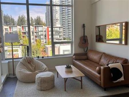 fully furnished luxury condo 6 month sublet