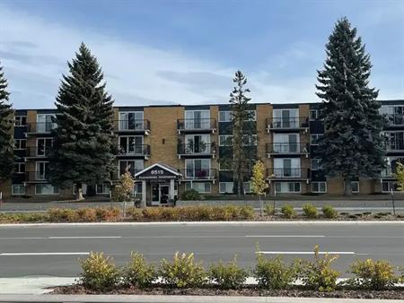 Top-floor, 1-BR, Elevator, on LRT across from Bonnie Doon Mall | 8515 83 St NW, Edmonton