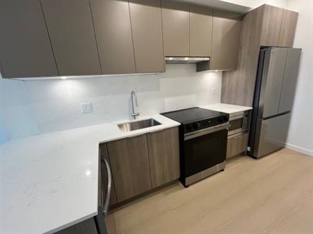 Viktor - Brand New AC Condo 1Bed 1Bath