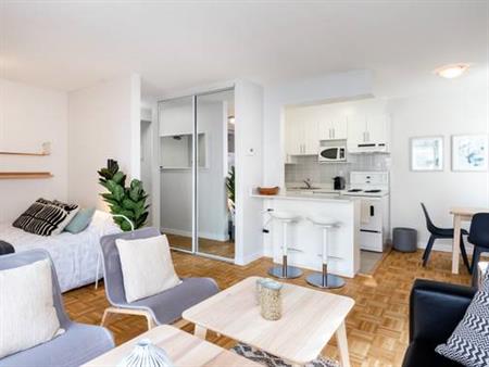 Beautiful Fully Furnished Studio in the Heart of Downtown