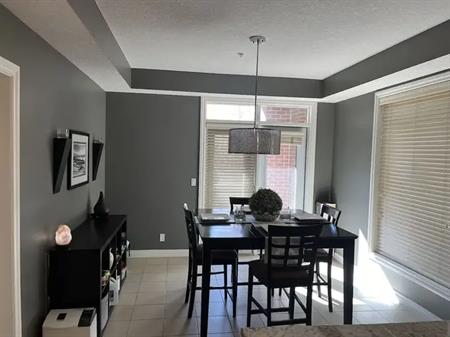 Executive 2 Bedroom 2 Bathroomn Condo | 8201 - 14 Hemlock Crescent SW, Calgary