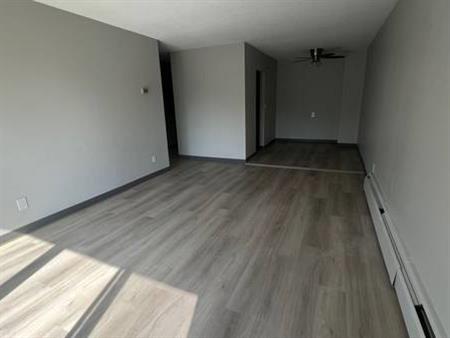 Newly Renovated 1 Bedroom Apartment (305)