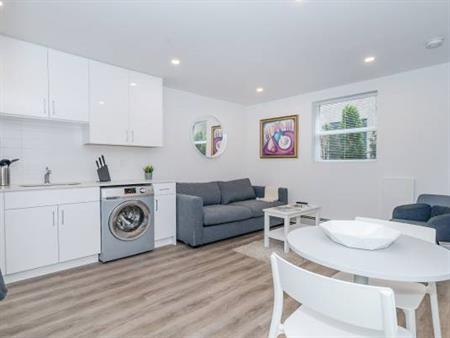 CHARACTER & MODERN - Dishwasher - LAUNDRY - Bright - CUTE - KITSILANO