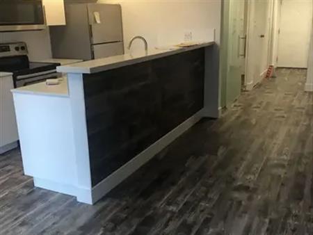 Renovated 5 years ago. Cozy 1 bedroom, open kitchen | Toronto