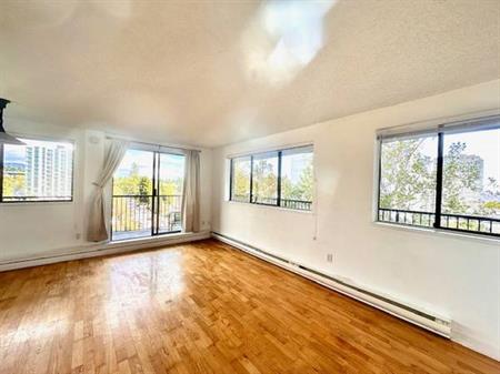 700sq foot of gorgeous one bedroom apartment with view.