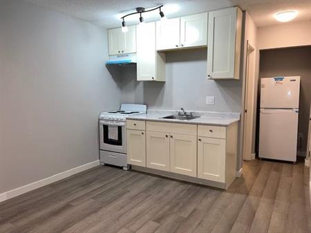 Newly renovated 1bd/1bath apartment w/Water& Heating Included!