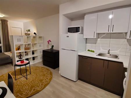 Studio - Montréal - $1,095 /mo