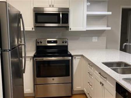 BBQ Area, Quartz countertops, 1/bd