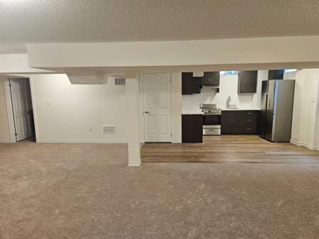 1,300-sqft Studio, 1-Bath + 2 Parking/AC/Private Laundry Inc