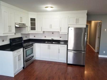 Spacious 2-bedroom Basement Unit Available for Long-Term Lease!